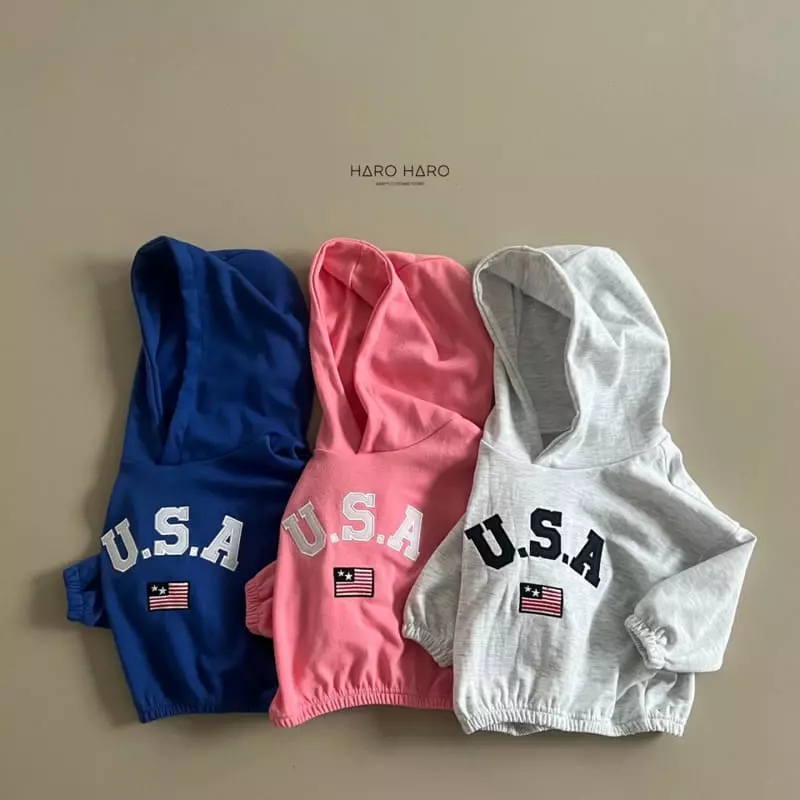 Haro Haro - Korean Children Fashion - #kidzfashiontrend - USA Hoody Tee - 4