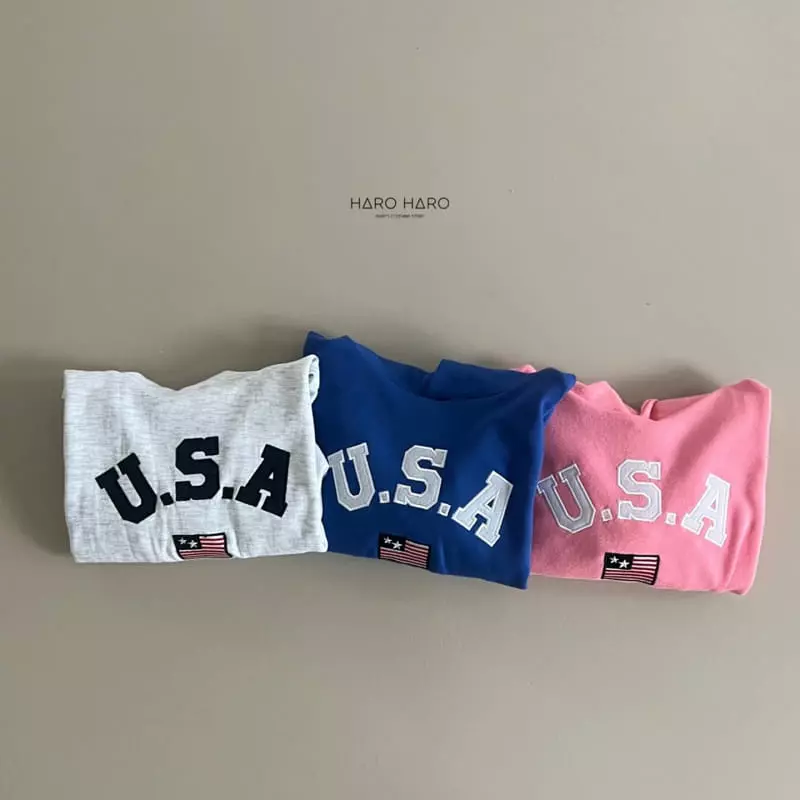 Haro Haro - Korean Children Fashion - #kidsshorts - USA Hoody Tee