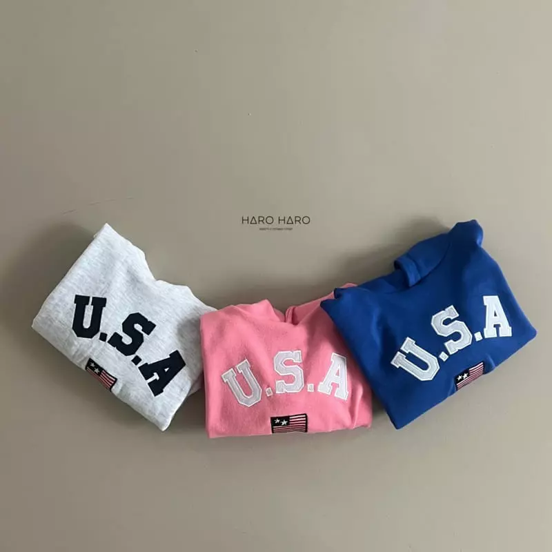 Haro Haro - Korean Children Fashion - #kidsstore - USA Hoody Tee - 2