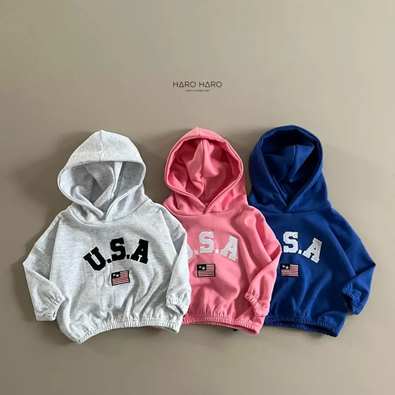 Haro Haro - Korean Children Fashion - #kidzfashiontrend - USA Hoody Tee - 3