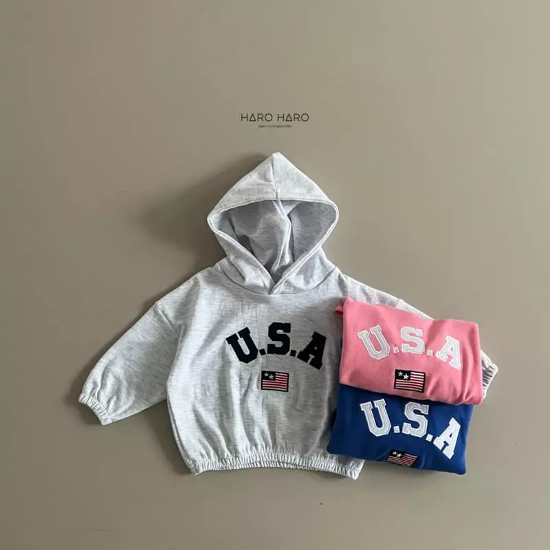 Haro Haro - Korean Children Fashion - #littlefashionista - USA Hoody Tee - 5