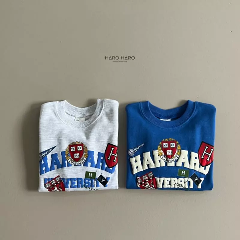 Haro Haro - Korean Children Fashion - #prettylittlegirls - Havard Sweatshirt - 3