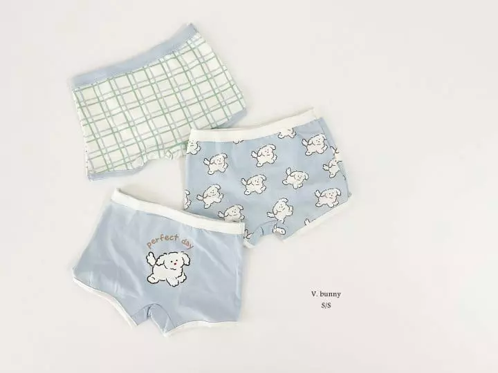V Bunny - Korean Children Fashion - #designkidswear - Beagle Underwear Set - 7