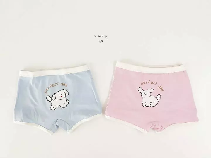 V Bunny - Korean Children Fashion - #kidsshorts - Beagle Underwear Set - 10