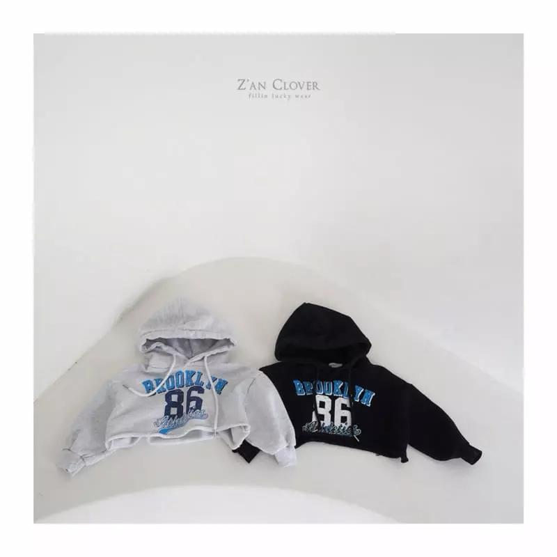 Zan Clover - Korean Children Fashion - #stylishchildhood - 86 Crop Hoody