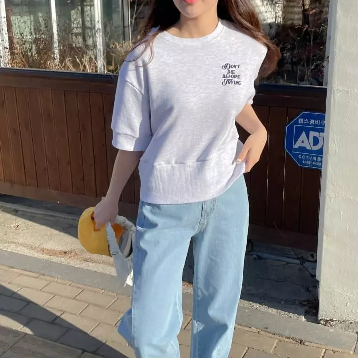 Another Plan - Korean Women Fashion - #vintagekidsstyle - Like Embrodiery Short Sleeves Sweatshirt - 4