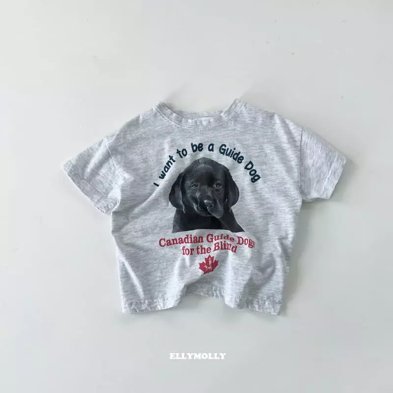 Ellymolly - Korean Children Fashion - #littlefashionista - Bog Box Tee