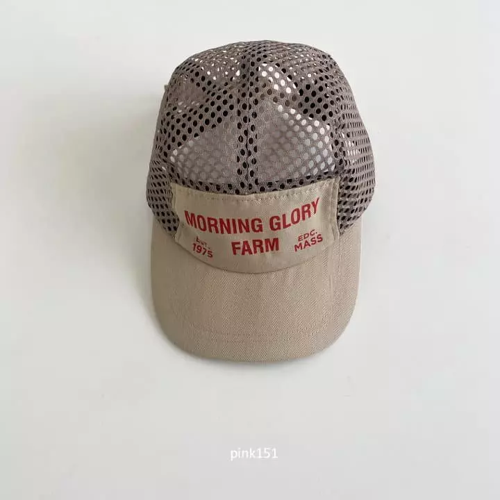 Pink151 - Korean Children Fashion - #childrensboutique - Pang Mesh Cap