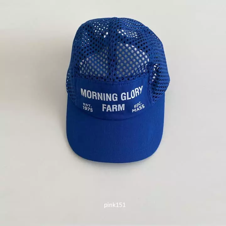 Pink151 - Korean Children Fashion - #designkidswear - Pang Mesh Cap - 2