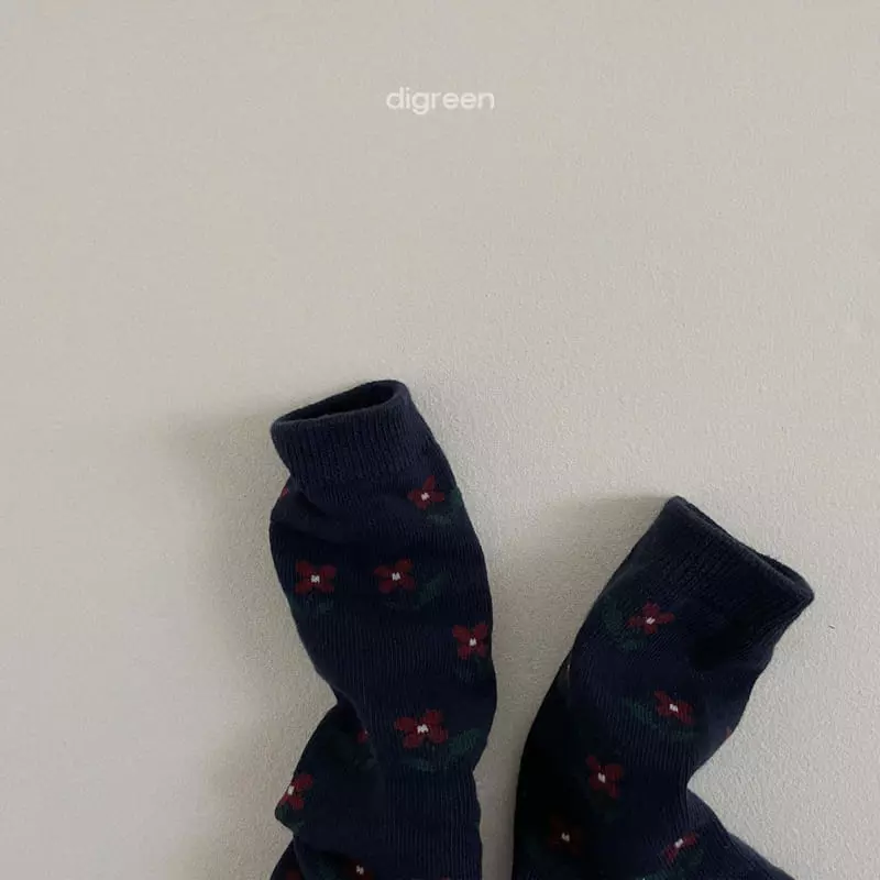 Digreen - Korean Children Fashion - #magicofchildhood - Irem Socks - 7