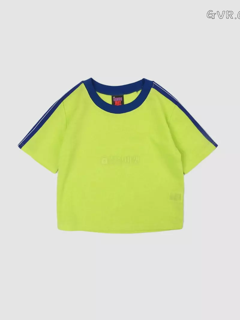 Gavara Market - Korean Women Fashion - #womensfashion - Pin Mesh Crop Tee - 10