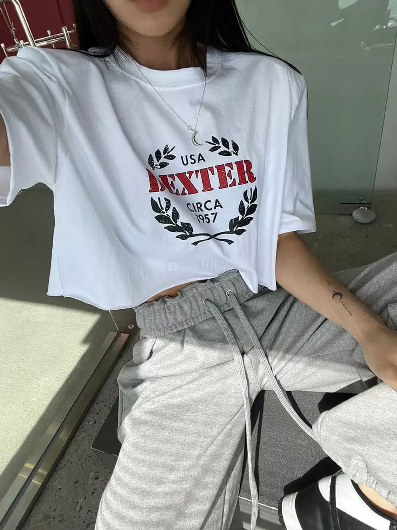 Amood - Korean Women Fashion - #momslook - USA Tee - 3
