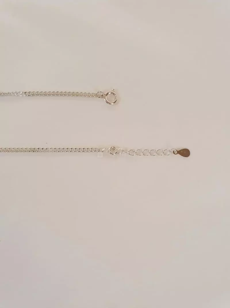 Cabinet - Korean Women Fashion - #momslook - Silver (Silver)2mm Chain Necklace
