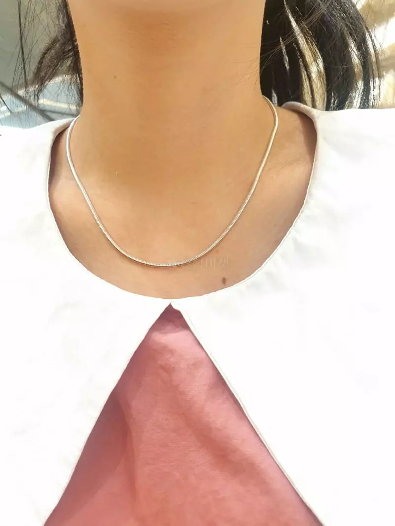 Cabinet - Korean Women Fashion - #womensfashion - Silver (Silver)2mm Toggle Necklace - 3