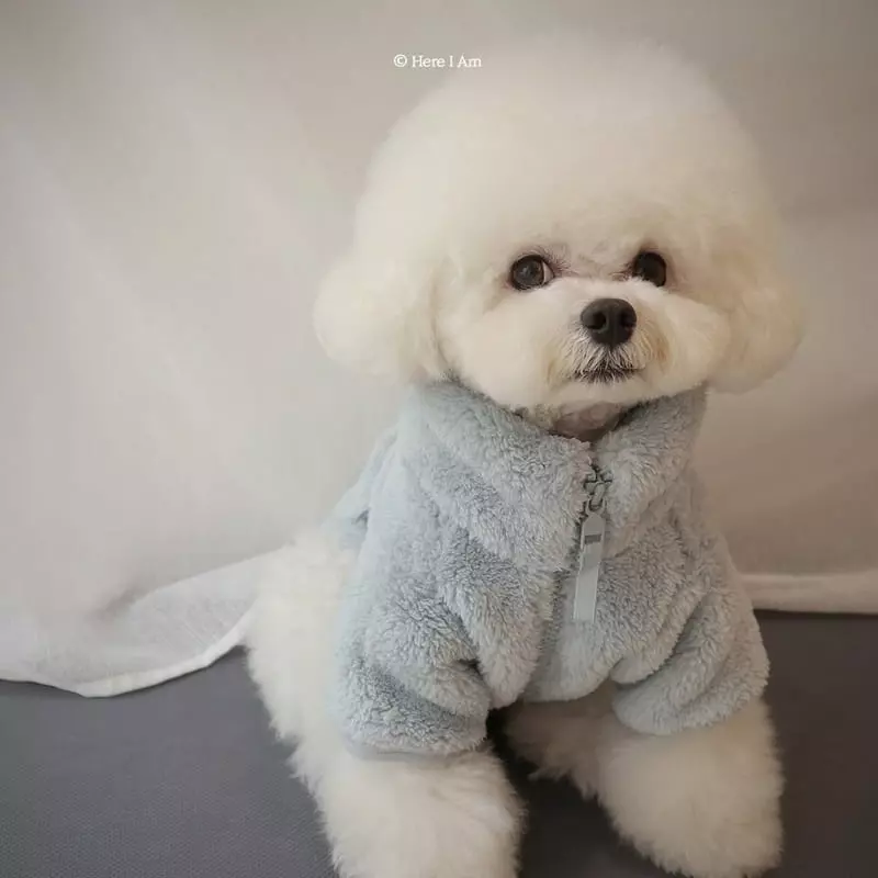 Here I Am - Korean Children Fashion - #childofig - Kinder Pet Fleece - 5