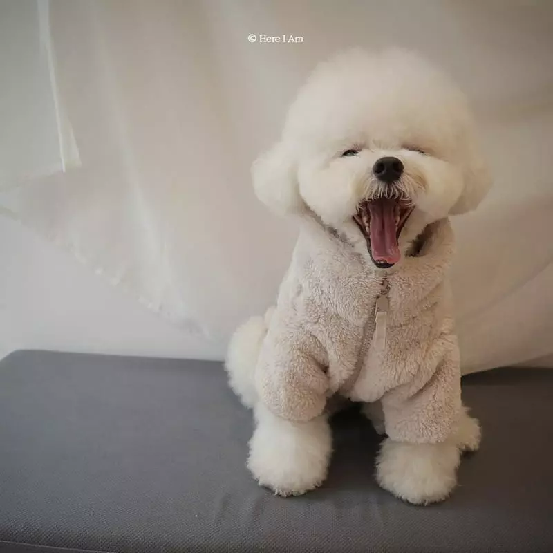 Here I Am - Korean Children Fashion - #designkidswear - Kinder Pet Fleece - 7