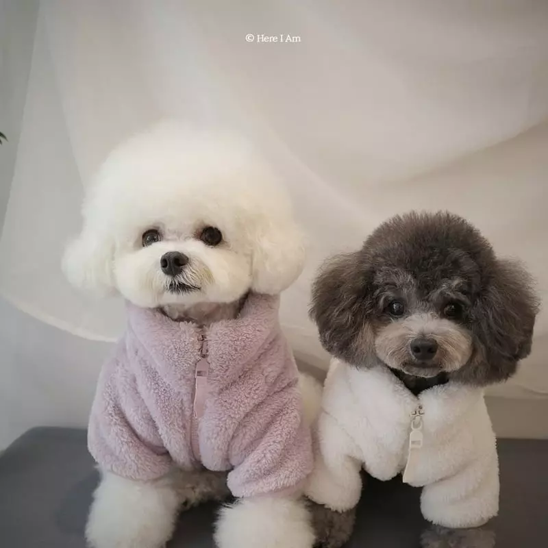 Here I Am - Korean Children Fashion - #discoveringself - Kinder Pet Fleece - 8