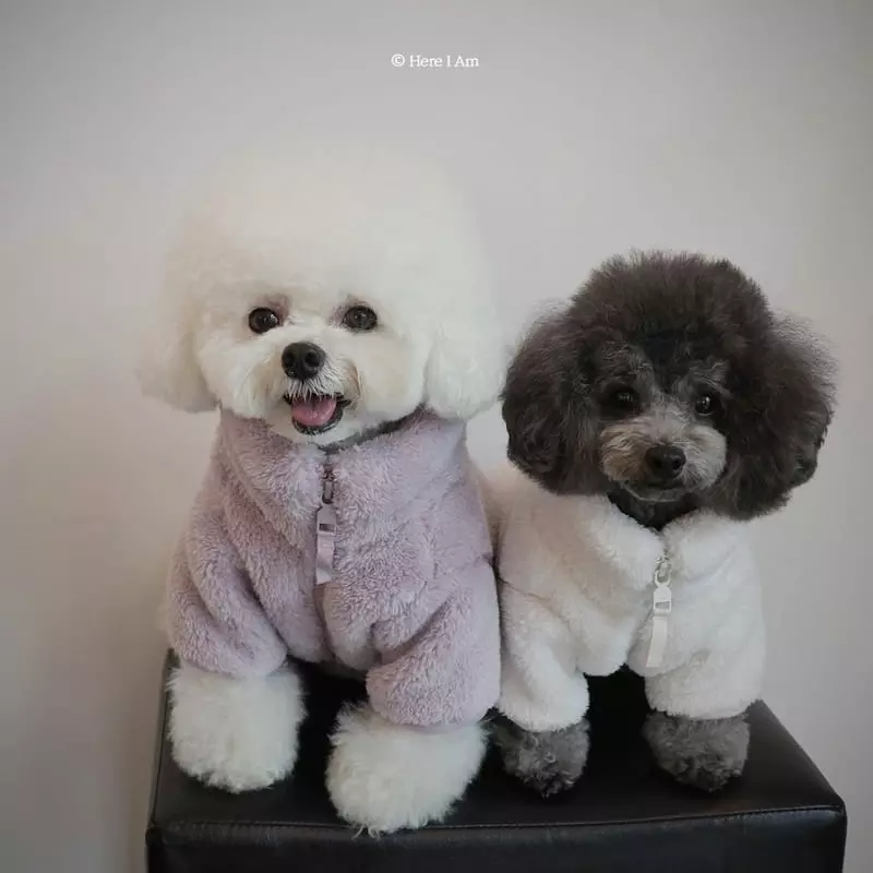 Here I Am - Korean Children Fashion - #kidsshorts - Kinder Pet Fleece - 10