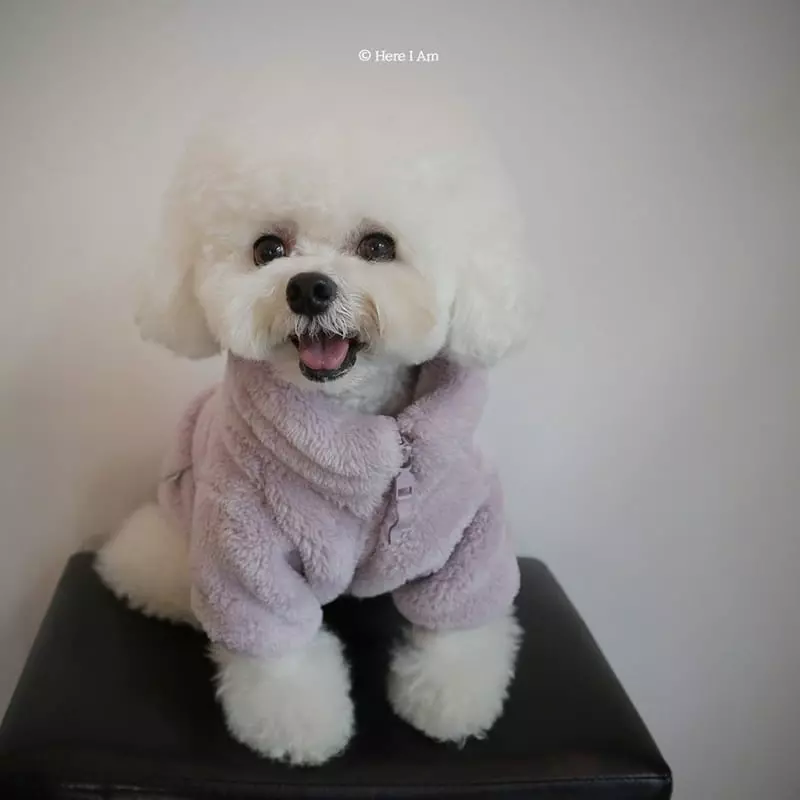 Here I Am - Korean Children Fashion - #kidsstore - Kinder Pet Fleece - 11