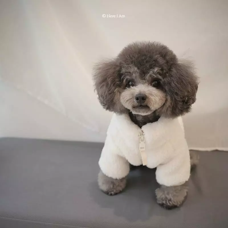 Here I Am - Korean Children Fashion - #toddlerclothing - Kinder Pet Fleece - 4