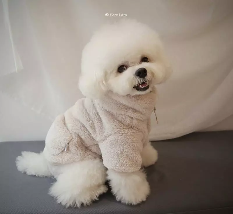 Here I Am - Korean Children Fashion - #toddlerclothing - Kinder Pet Fleece - 3