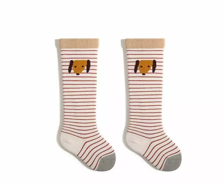 Reve Kid - Korean Baby Fashion - #babywear - Bebe 23 Knee Socks - 4