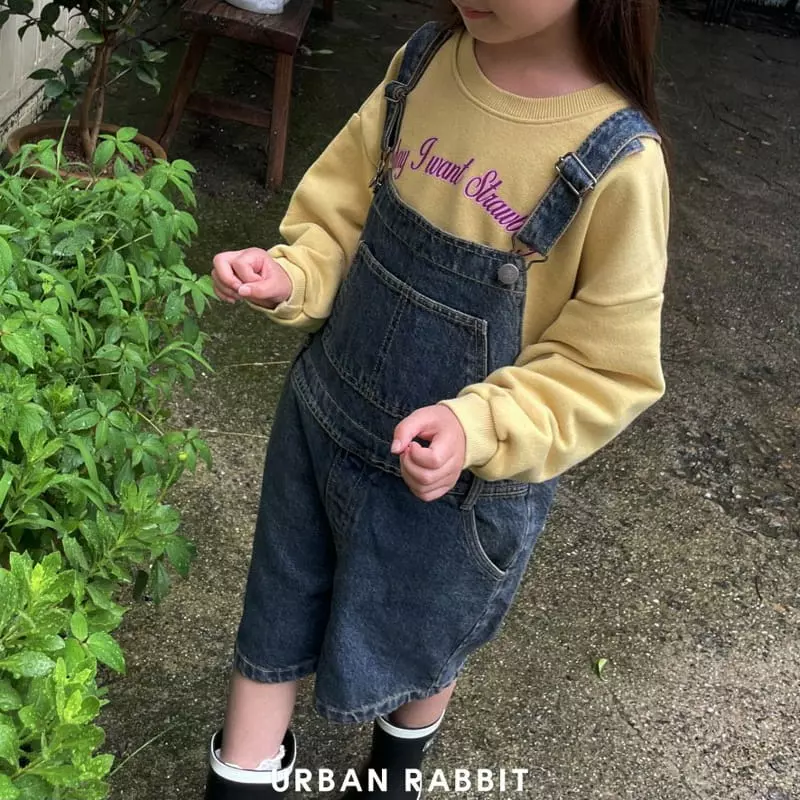 Urban Rabbit - Korean Children Fashion - #minifashionista - Vintage Overalls - 11
