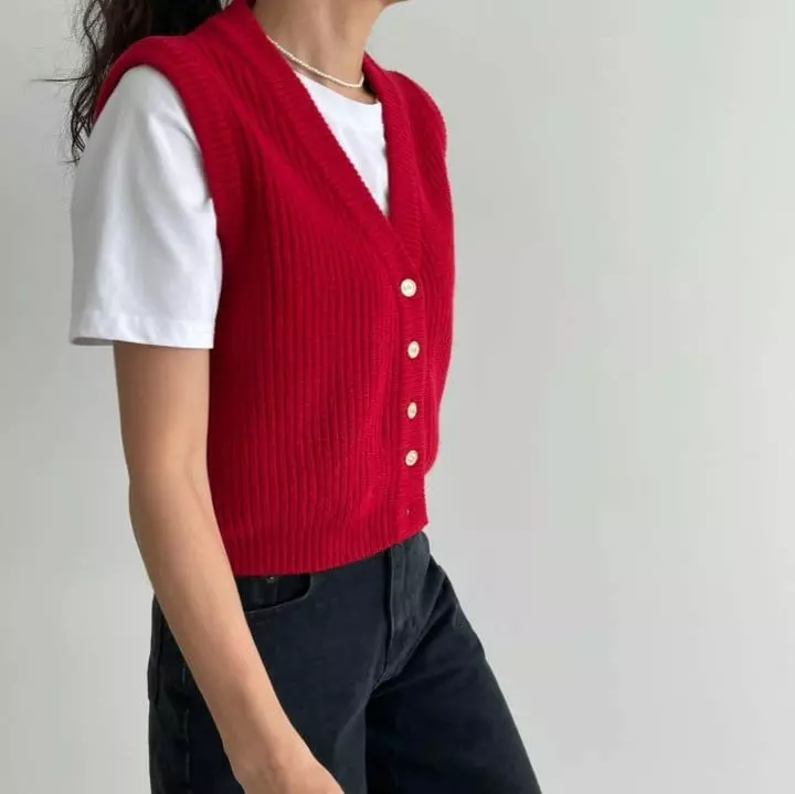 Ripple - Korean Women Fashion - #womensfashion - Paco Knit Vest - 2