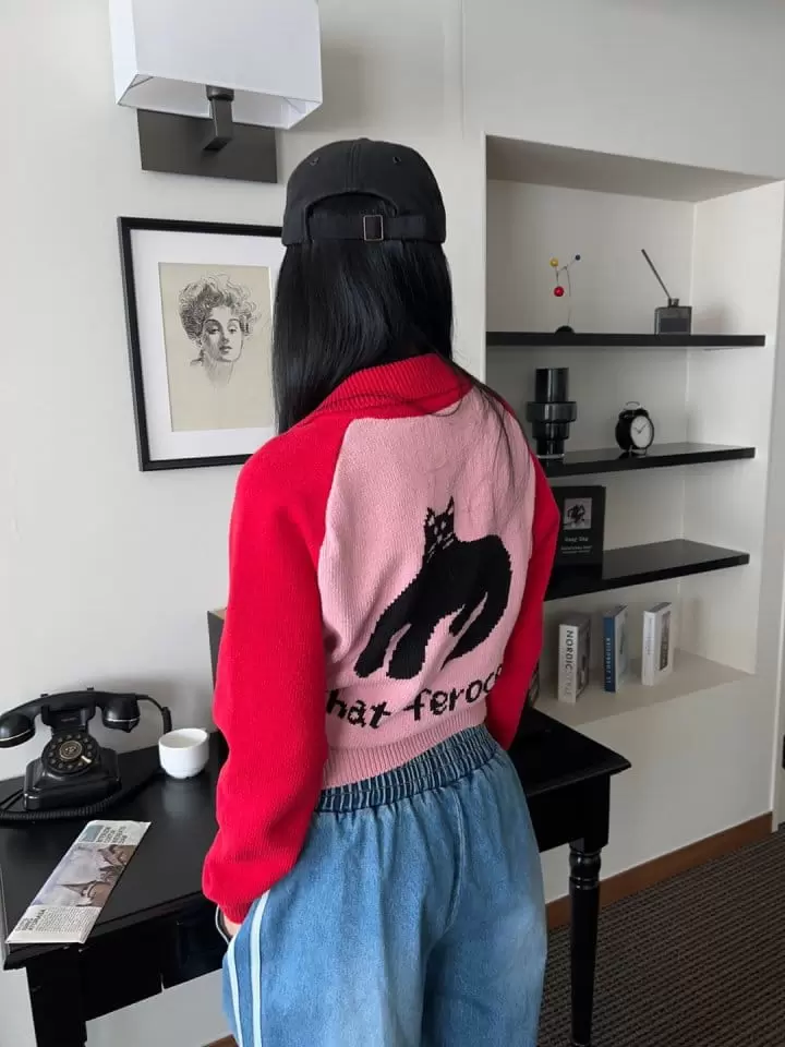 Bricklane - Korean Women Fashion - #womensfashion - Raglan Knit Jumper - 10