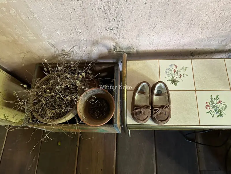 Iwai - Korean Children Fashion - #magicofchildhood - IW1001 Flats - 10