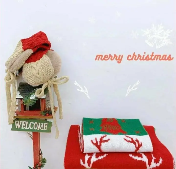 Miso - Korean Children Fashion - #discoveringself - Christmas Muffler - 10